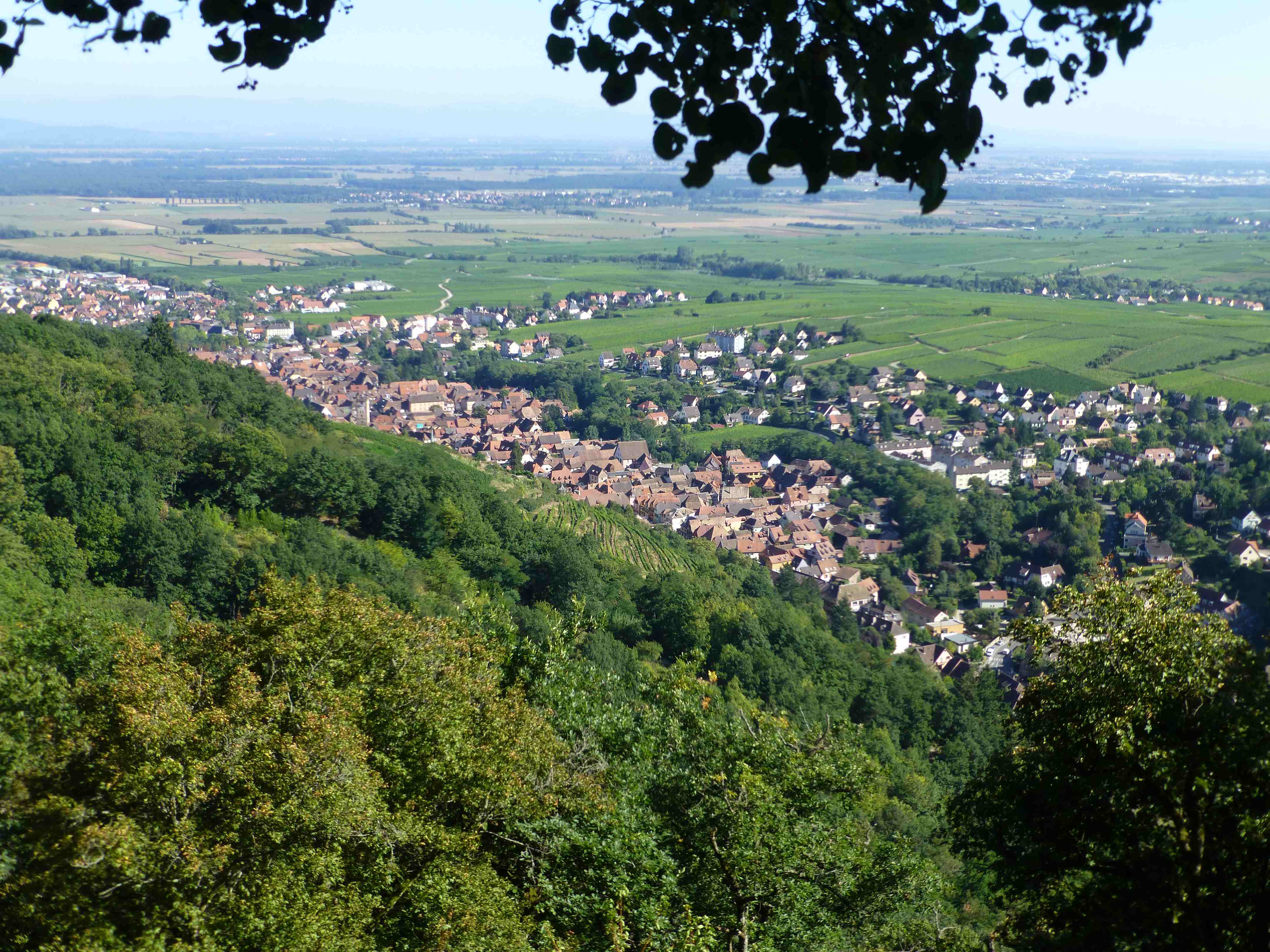 9ribeauville